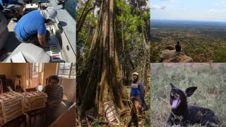 Fieldwork in Malawi
