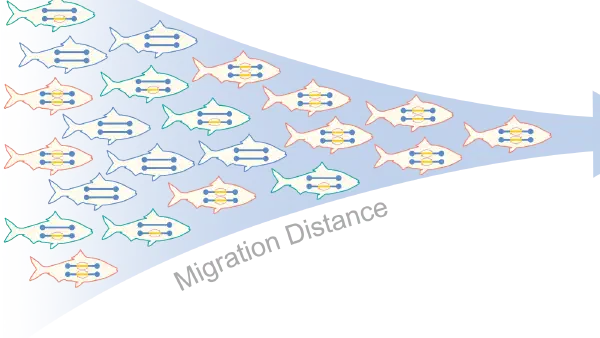 Rapid Evolution of Invasive Species featured image